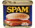 Blogging On E-Commerce Sites: Marked As Spam?
